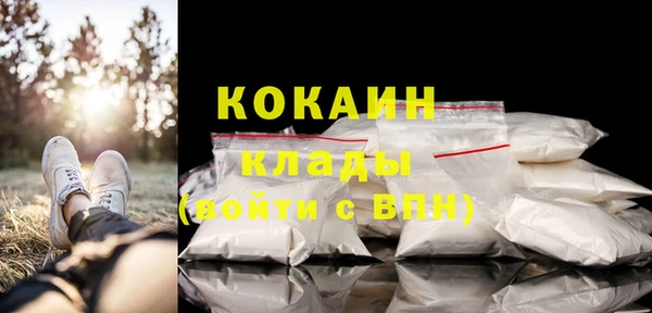тгк Абаза