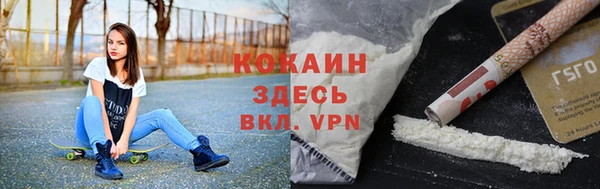 тгк Абаза
