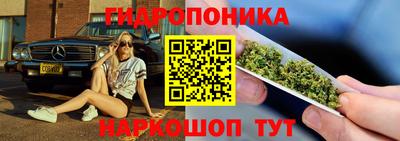 крисы Кунгур