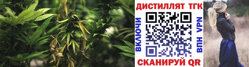 дарнет шоп  Туапсе  Дистиллят ТГК гашишное масло 