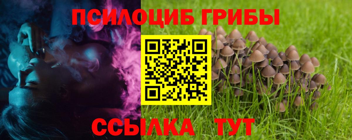 Туапсе  Псилоцибиновые грибы мухоморы  Вход с VPN 
